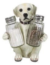 Pup And Spice Wide Eyed Cute Labrador Puppy Dog Glass Salt &amp; Pepper Shak... - $24.95
