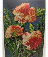 Vintage 1977 3D Flower Post Card To Ann From Dan Pili Rich Susan - $19.80