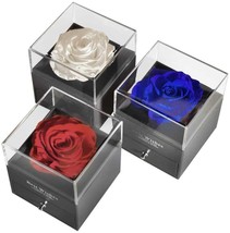 Preserved Rose with I Love You Necklace in 100 Languages, Jewelry Box Se... - £26.44 GBP