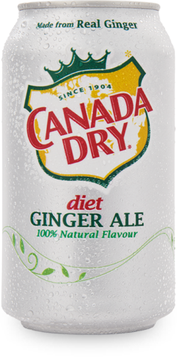 24 Cans of Canada Dry Diet Ginger Ale 355ml Each - Limited Time -Free Shipping - £44.89 GBP