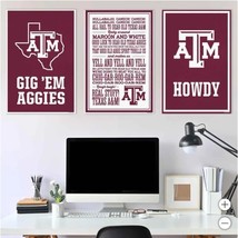 Texas A&amp;M Aggies Wall Art Maroon White NCAA 3-Piece Adhesive Canvas - $79.99