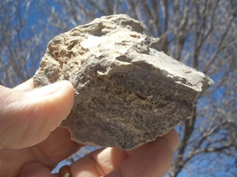Uraninite (Pitchblende) Uranium 7.2 Oz. 50,000. Cpm Utah $40.00 + $12.80 S/H - £31.90 GBP