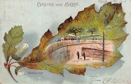 Gruss Di Bern Svizzera ~ Bärengraben-bear Fossa ~1900 Foglia di Quercia ... - £9.47 GBP