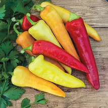 VC Sweet Banana Pepper Heirloom Non-Gmo 25 Seeds Mix Or Match Easy Grow - $9.77