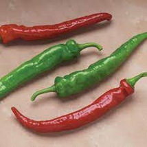 25 Seeds Arapaho Pepper Vegetables Garden - $9.70