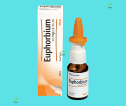 Euphorbium Compositum 20ml HEEL Nasal Spray Homeopathic Solution 1/3/5/10 PACK - $16.82+