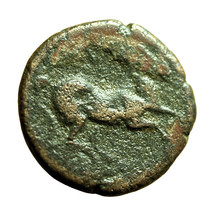 Ancient Greek Coin Carthage Zeugitania AE16mm Tanit / Horse 04032 - $26.09