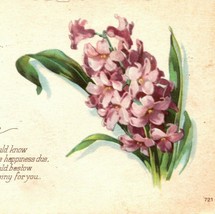 1923 Greetings Birthday Wishes Hyacinth Flower Postcard Posted Divided Back USA - £5.52 GBP