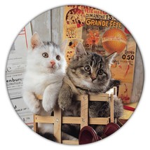 Cat : Gift Coaster Cute Animal Kitten Funny Friend Paris France - £3.98 GBP