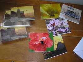 Lot of 5 Outdoor Flowers Photo Cards by Shirley Audetat &amp; Oil Painting S... - $7.69