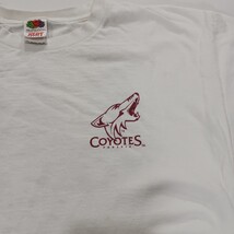 Fruit Of The Loom Phoenix Coyotes Men's White Cotton Graphic T-Shirt Size XL image 10