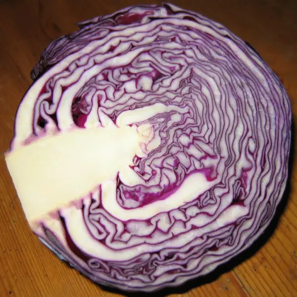 Top Seller 500 Red Acre Cabbage Brassica Oleracea Capitata Vegetable Seeds - £11.48 GBP