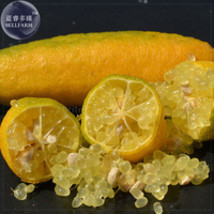 New Fresh Yellow Finger Lime Pomegrante Plant Seeds 10 Seeds Pack A Must... - €3,17 EUR