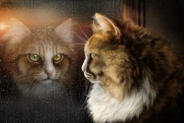 painting Giclee Art Wall Decor Cats Glass Window Picture Printed Canvas - £7.58 GBP+