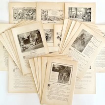 1888 Lot of 25 Victorian Pages Ephemera Scripture Illustrated 1st Edition DWN9C - £55.74 GBP
