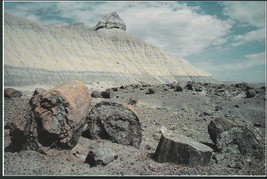 Postcard Petrified Forest National Park Arizona Sky Land Agatized Fossil Trees - £4.74 GBP