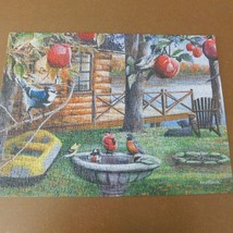 Kevin Daniel TCG 500 Piece Jigsaw Puzzle Birds and Cabin Nature Beauty 19&quot; x 14&quot; - £7.64 GBP