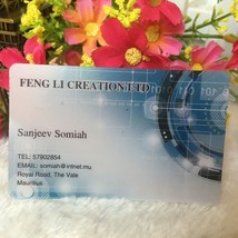 Customized business cards custom frost transparent plastic 100/lot - £21.80 GBP