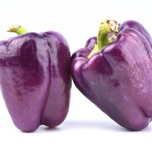 Vegetable Seeds Sweet Lilac Bell Pepper 20 Vegetable Seeds Gardening Fre... - $11.87