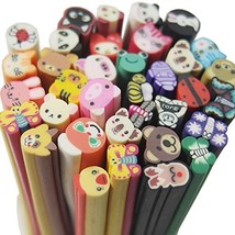 Fujiyuan 20 PCS Mixed Animal Fimo Polymer Clay Cane Rod Nail Decorations... - €3,87 EUR