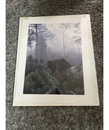 Daniel Smith - African Ebony Print Lithograph - Signed - MINT Limited  6... - $129.97 CAD