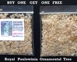 SRN ~ Royal Paulowina Tree Seeds Total Of 200 Seeds Garden - $9.27