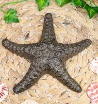 Ebros Cast Iron Sea Star Shell Starfish in Rustic Bronze Finish 7.75" Wide - $26.99