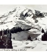 RPPC Mount Rainier And Paradise Valley Ellis 1920s Washington Pacific NW... - $40.83 CAD