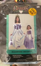 Childs Large Sleeping Beauty Costume - $20.00