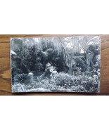 1950 Postcard Real Photo Jungle Garden Avery Island  Louisiana Swamp Peo... - $9.89