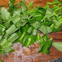 New Fresh Seeds 7 Chinese Spinach Seeds - $11.98