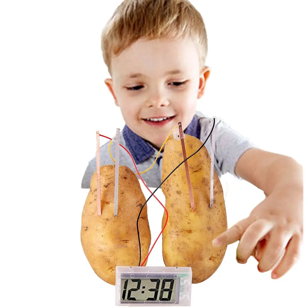 Kids Montessori Fruit Potato Dry Battery Toys for Children Technology Experime - £9.16 GBP+