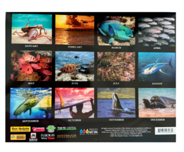 Item image 14