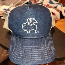 Denim Buffalo Wild Wings Snapback Trucker Hat Cap Mesh Blue great condition - $14.65