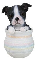 Black White Tuxedo Boston Terrier Puppy Dog Figurine With Glass Eyes Pup In Pot - £19.51 GBP