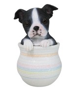 Black White Tuxedo Boston Terrier Puppy Dog Figurine With Glass Eyes Pup... - £19.74 GBP