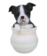 Black White Tuxedo Boston Terrier Puppy Dog Figurine With Glass Eyes Pup... - €21,55 EUR