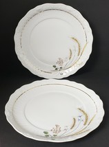 2-Vintage Real S. Paulo Made in Brazil 9.5&quot; Dinner Plates with Wheat Pat... - £18.32 GBP