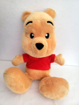 Disney Winnie The Pooh Plush Stuffed Animal Big Head Feet - $24.63