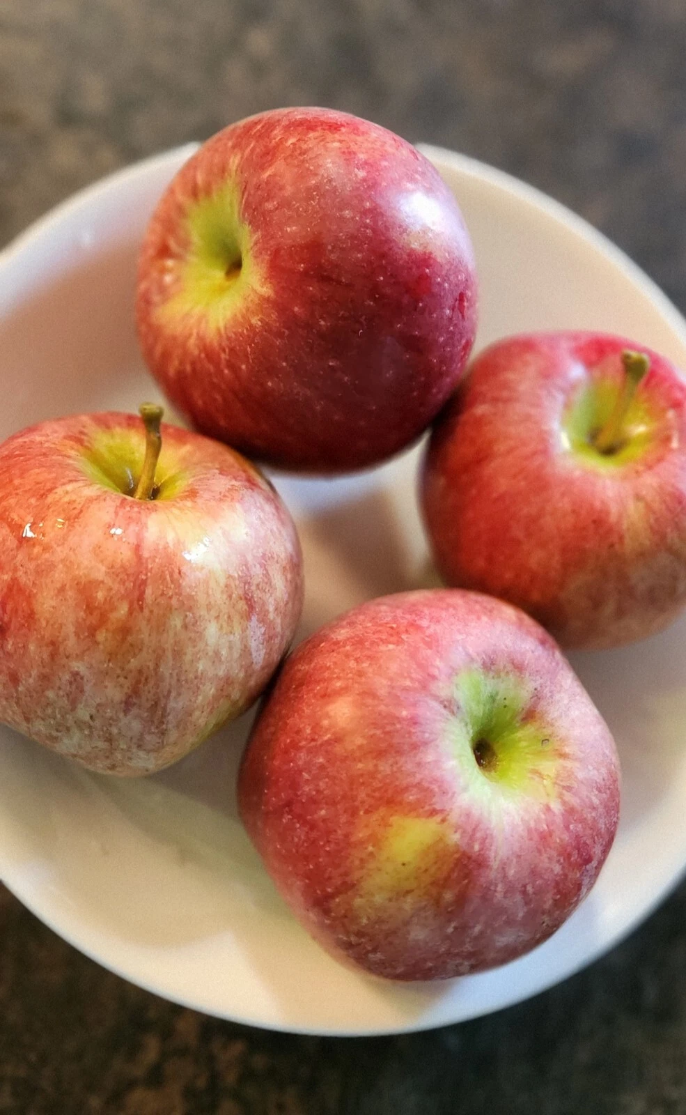 Jonathan Apple Tree SEEDS - $15.42