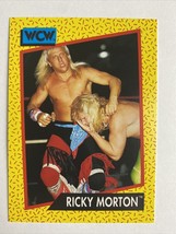 Wcw World Championship Wrestling 1991 Trading Card #100 Ricky Morton - £0.99 GBP