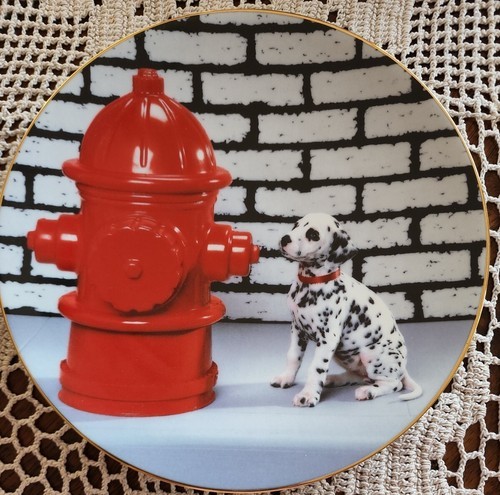 Hamilton Collection Comical Dalmatians Ceramic Plate ~ 1131A ~ Dalmatians Dream Item image 3