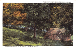 Vermont Sugar Orchard In Mid SUMMER-OCTOBER Riot Of COLOR~1935 Pstmk Postcard - £4.31 GBP