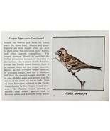 Vesper Sparrow Bird Print 1931 Blue Book Birds Of America Antique Art PC... - $19.99