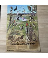 Australian Common Farmland Birds  1988 by Goulde League Laminated Print - €21,66 EUR