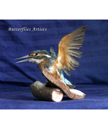 Kingfisher Alcedo Atthis Real Bird Mount Taxidermy Stuffed Scientific Zo... - $359.00