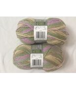 Patons Decor 4 Medium Acrylic Wool Yarn First Spring Ombre #87230 2 Skei... - $12.86