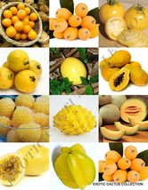 Yellow Fruits Mix, Rare Organic Edible Colorful Fruit Healthy Food Seed 15 Seeds - £7.95 GBP