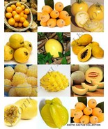 YELLOW FRUITS MIX, rare organic edible COLORFUL fruit HEALTHY food seed ... - $186.31 MXN