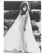 RAQUEL WELCH 1960’s diaphanous nightgown b/w 7x10 garden setting portrait - $133.08 MXN